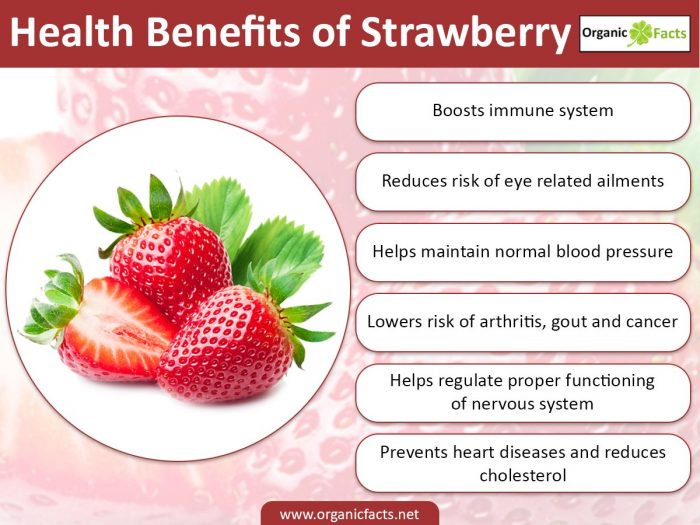 strawberryinfo02.jpg