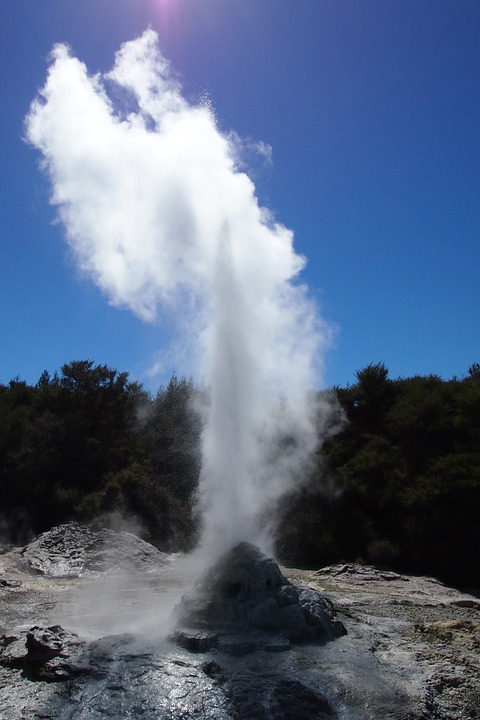 rotorua-438514_960_720.jpg