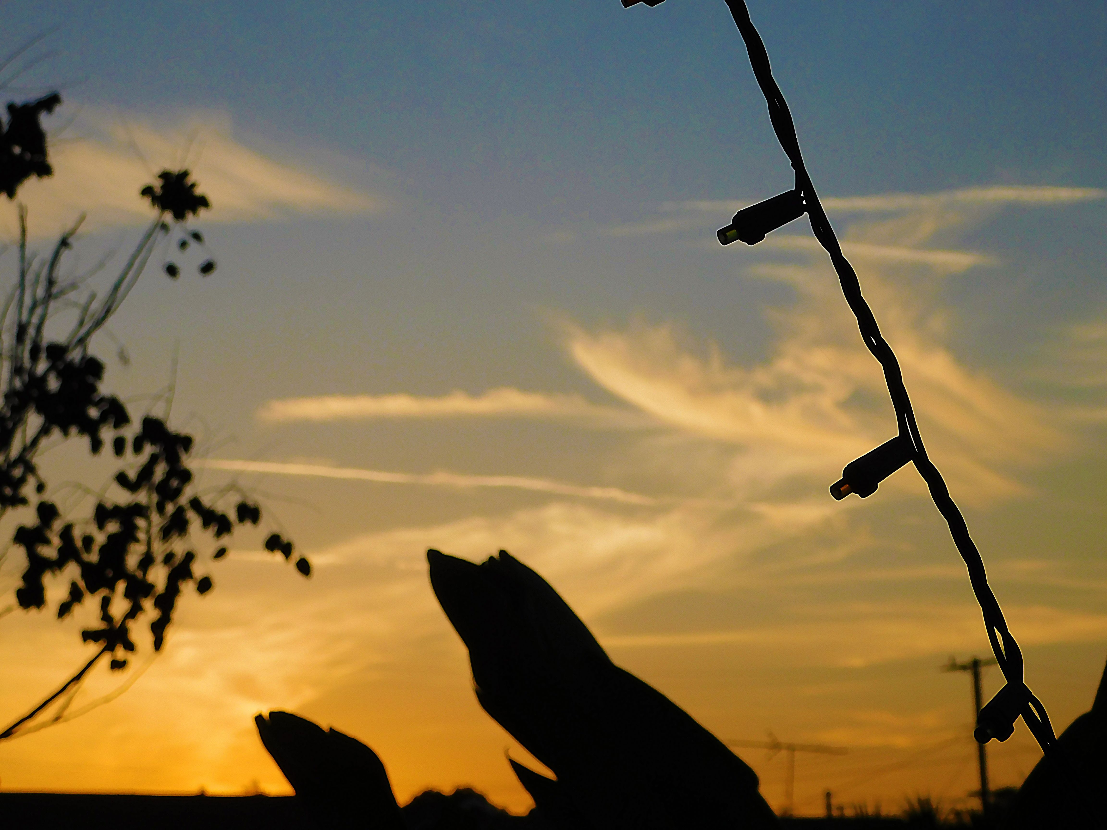 sunset, nature, photography by jeronimo rubio, all rights reserved, 2018 (3).JPG