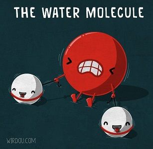 the-water-molecule.jpg