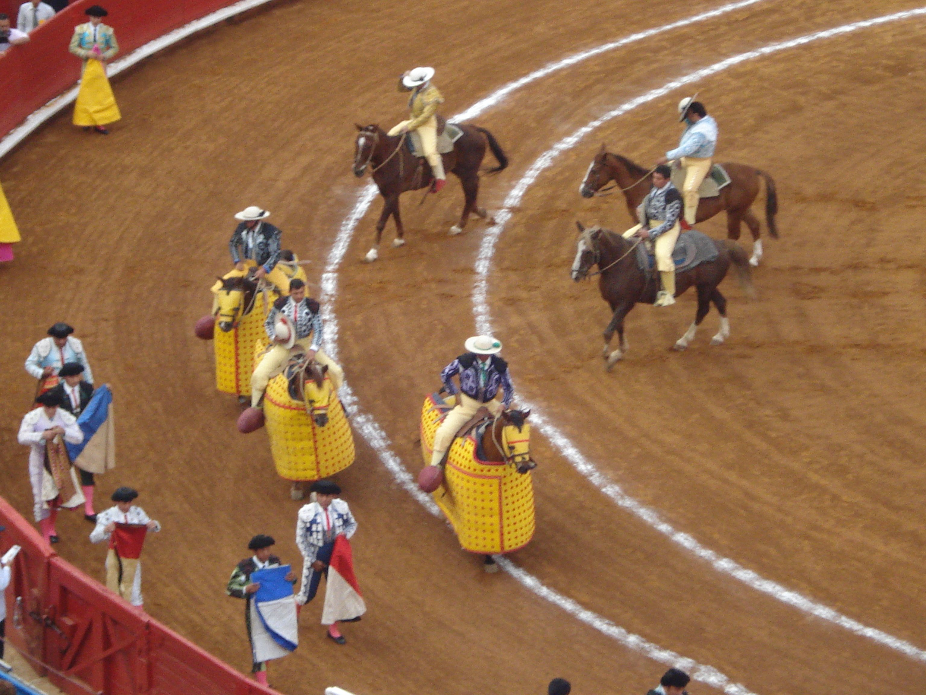 Bull Fight9.JPG