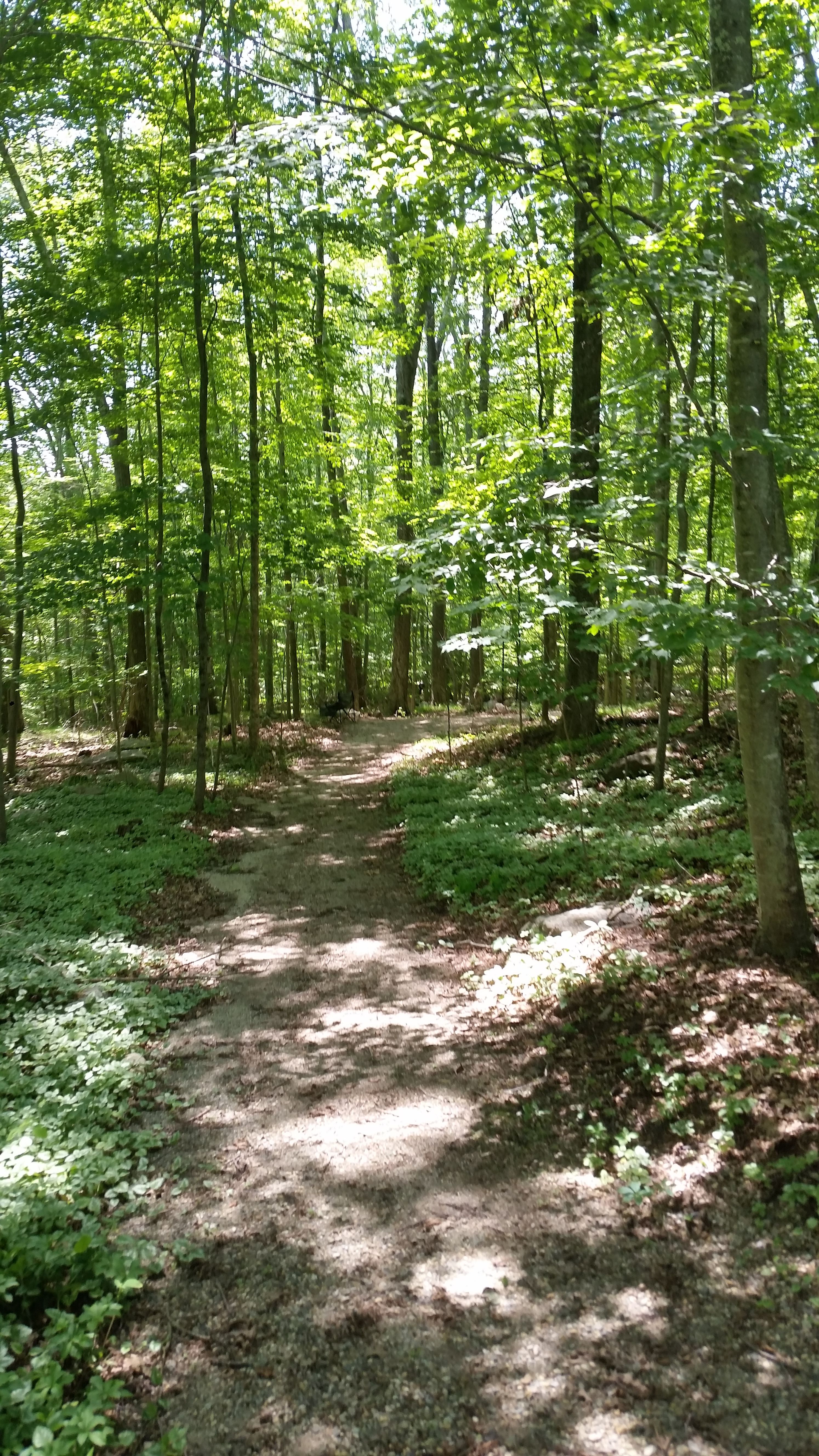 20170720_130302.jpg