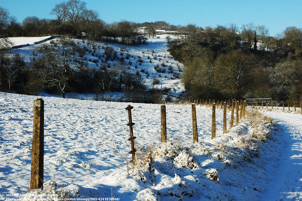 SnowyRoadAlongFencedField-030118.jpg