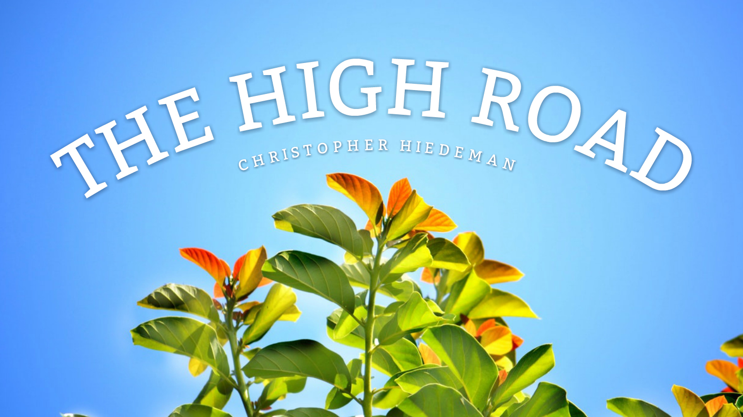 The High Road Story image.jpg