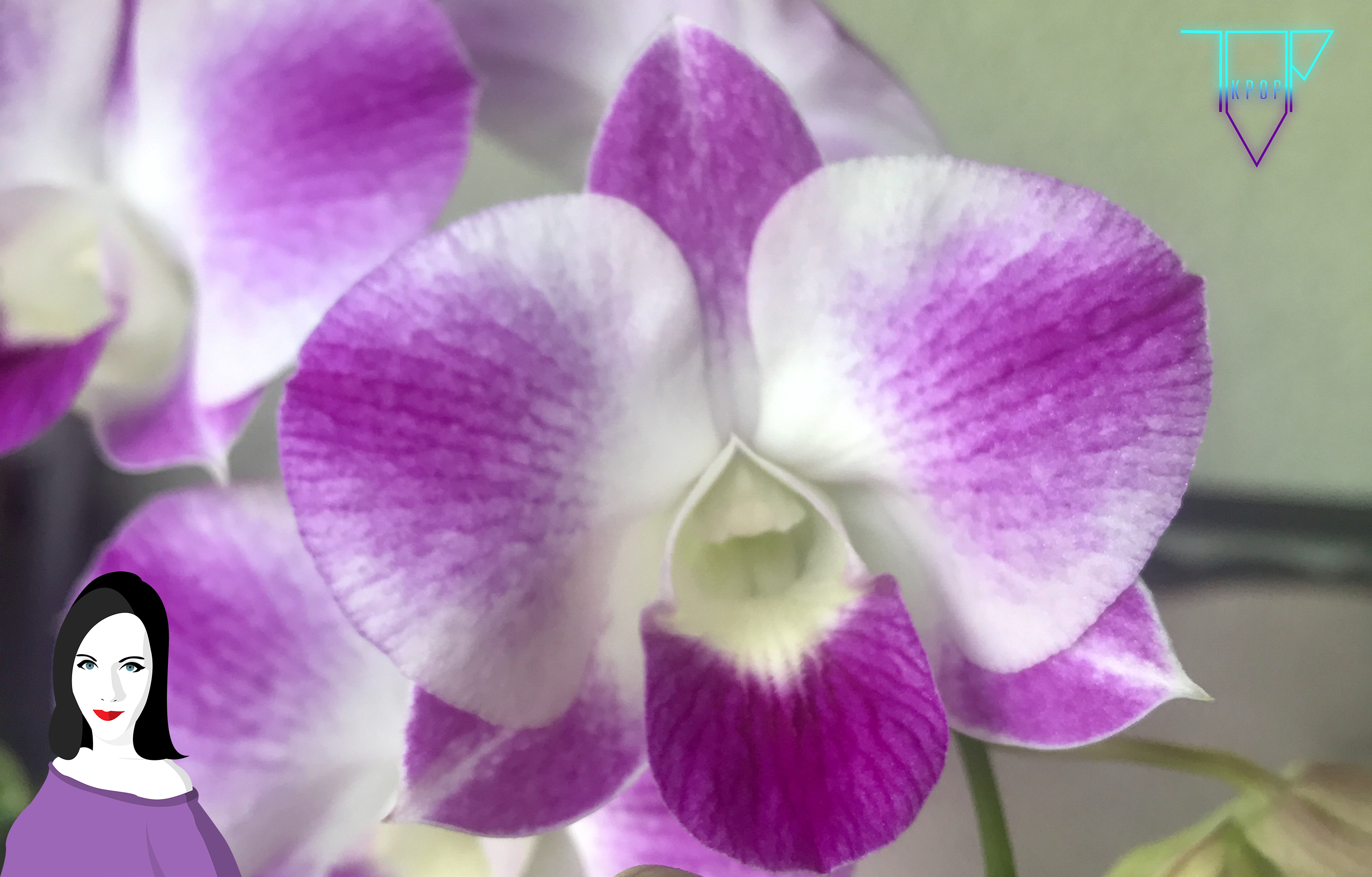 flowerpost.png