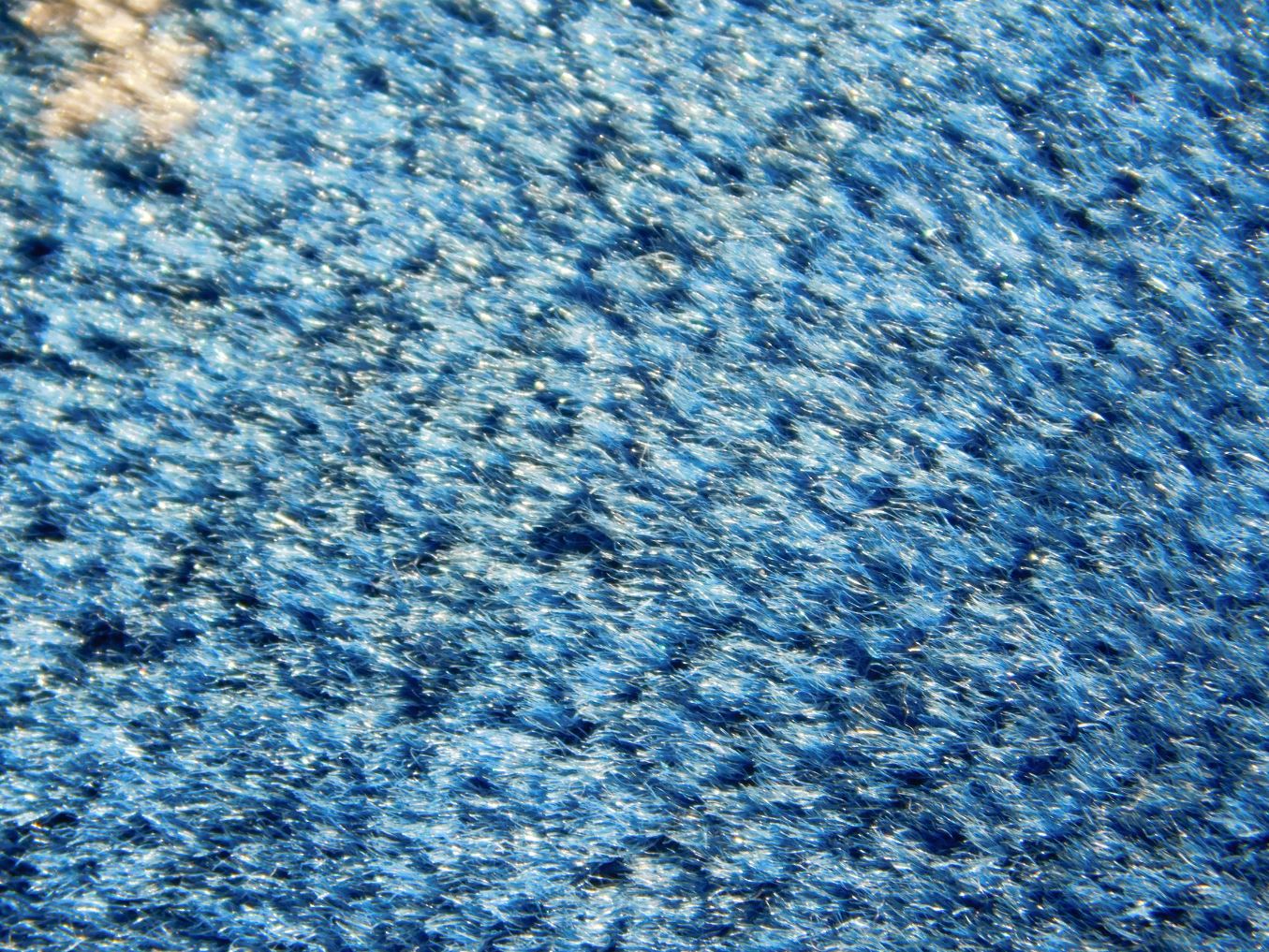 upholstery fibers.JPG