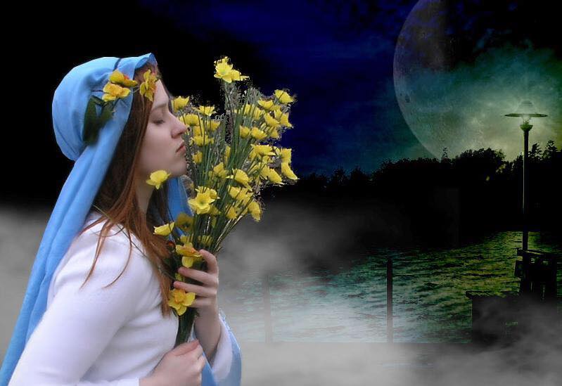 audsencia de viento y niebla.jpg