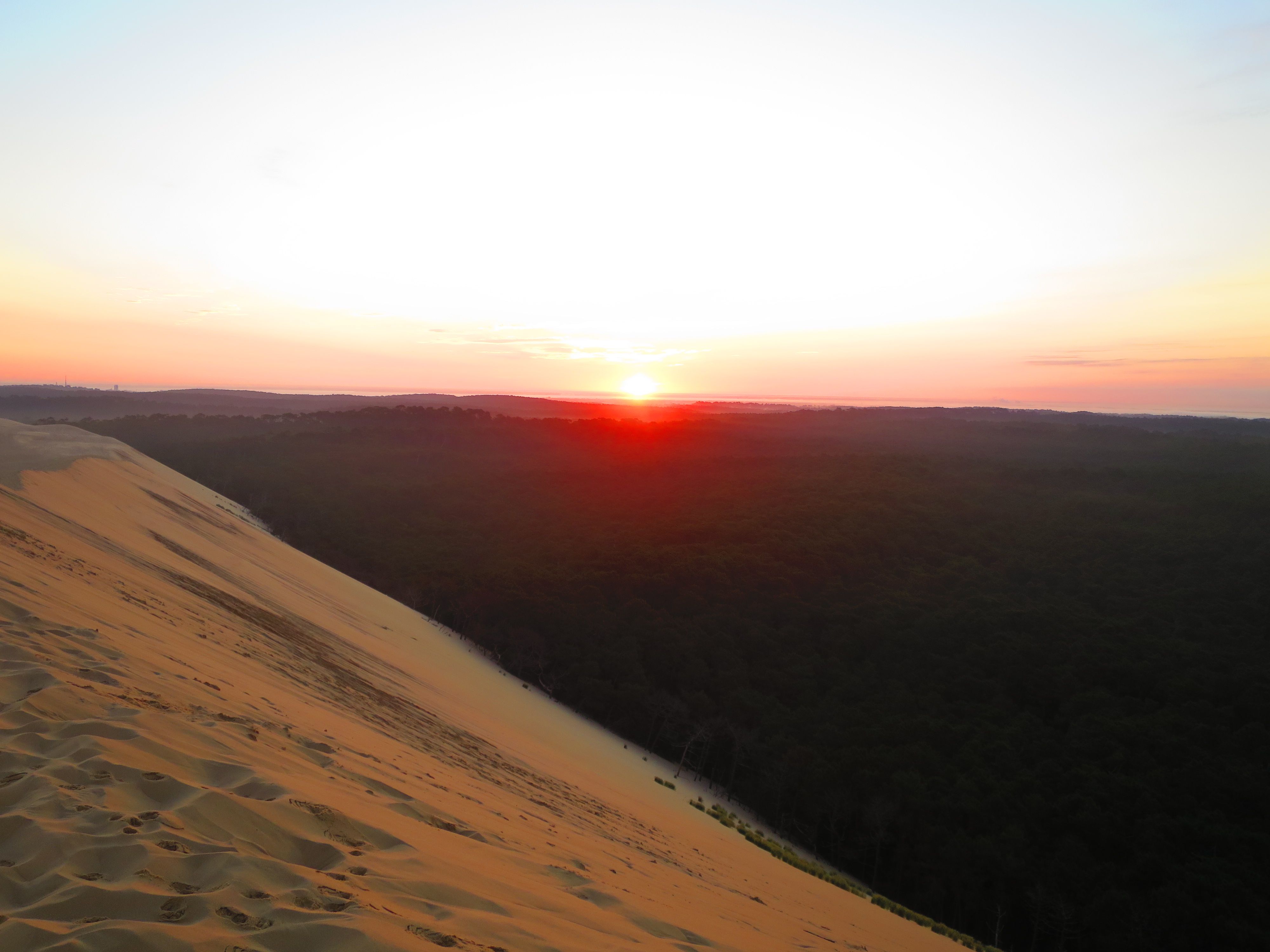 Travels Bordeaux Dune Du Pilat La Duna Piu Alta D Europa Ita Steemit