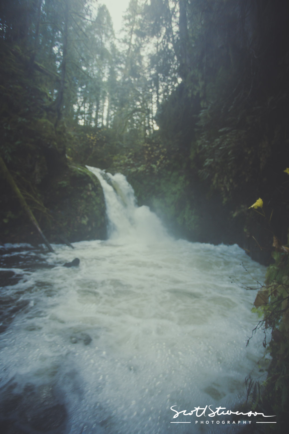 Goldstream Falls-2.jpg