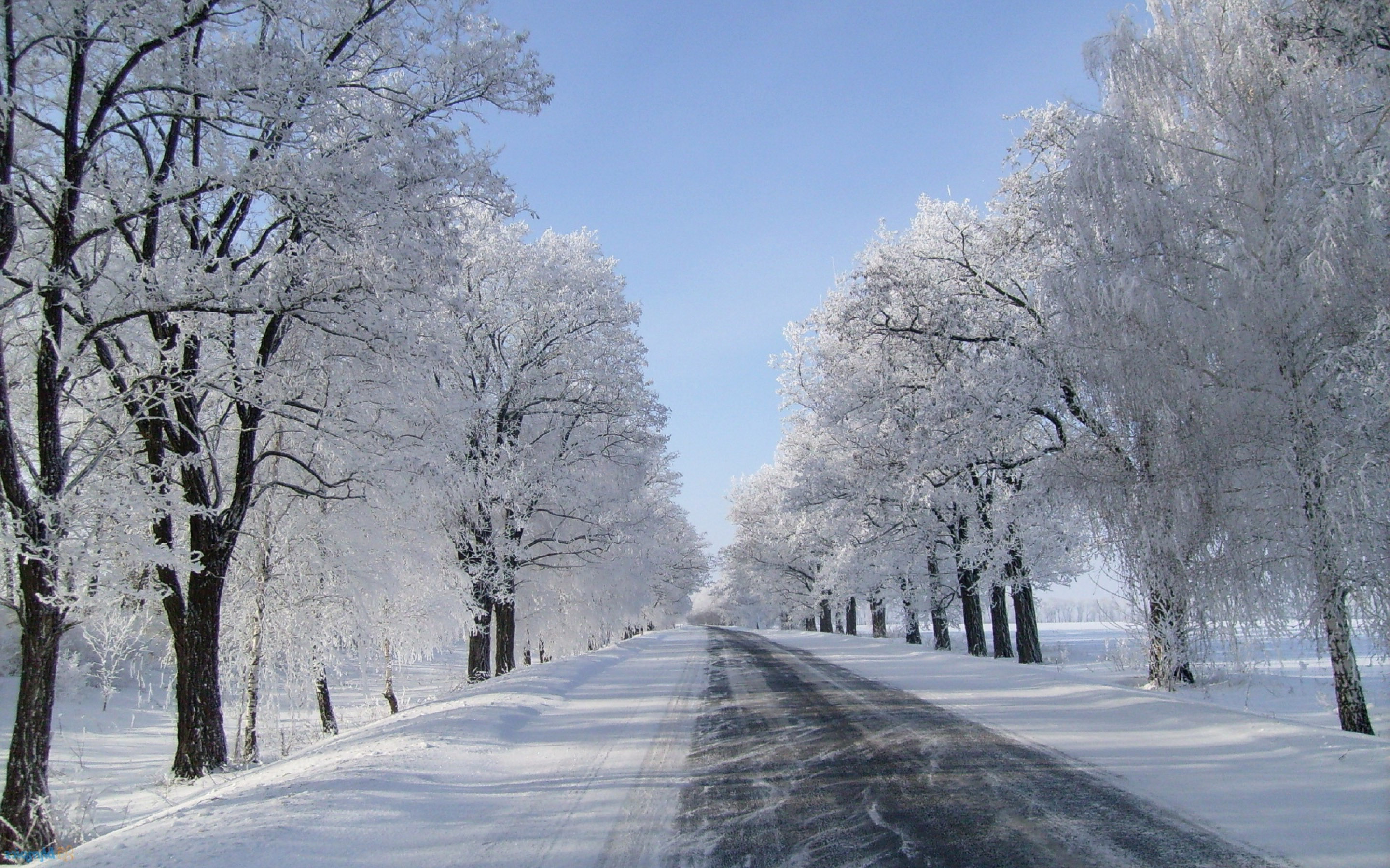 Winter-snow-background-wallpaper-retina-hd-download.jpg
