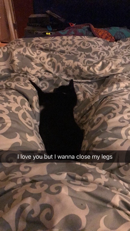 kW3yC2IGp6nf7vBBWdxewocUY5roikFYyoMQDjdBpiw.jpg