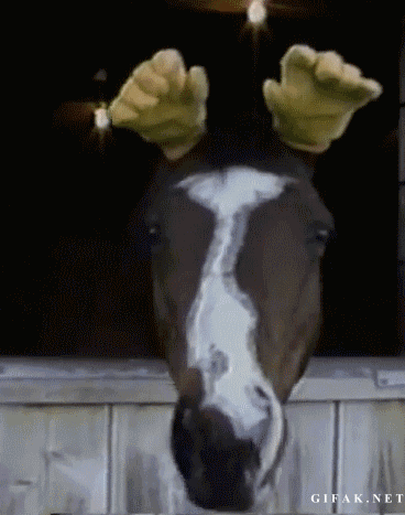 giphy (88.gif