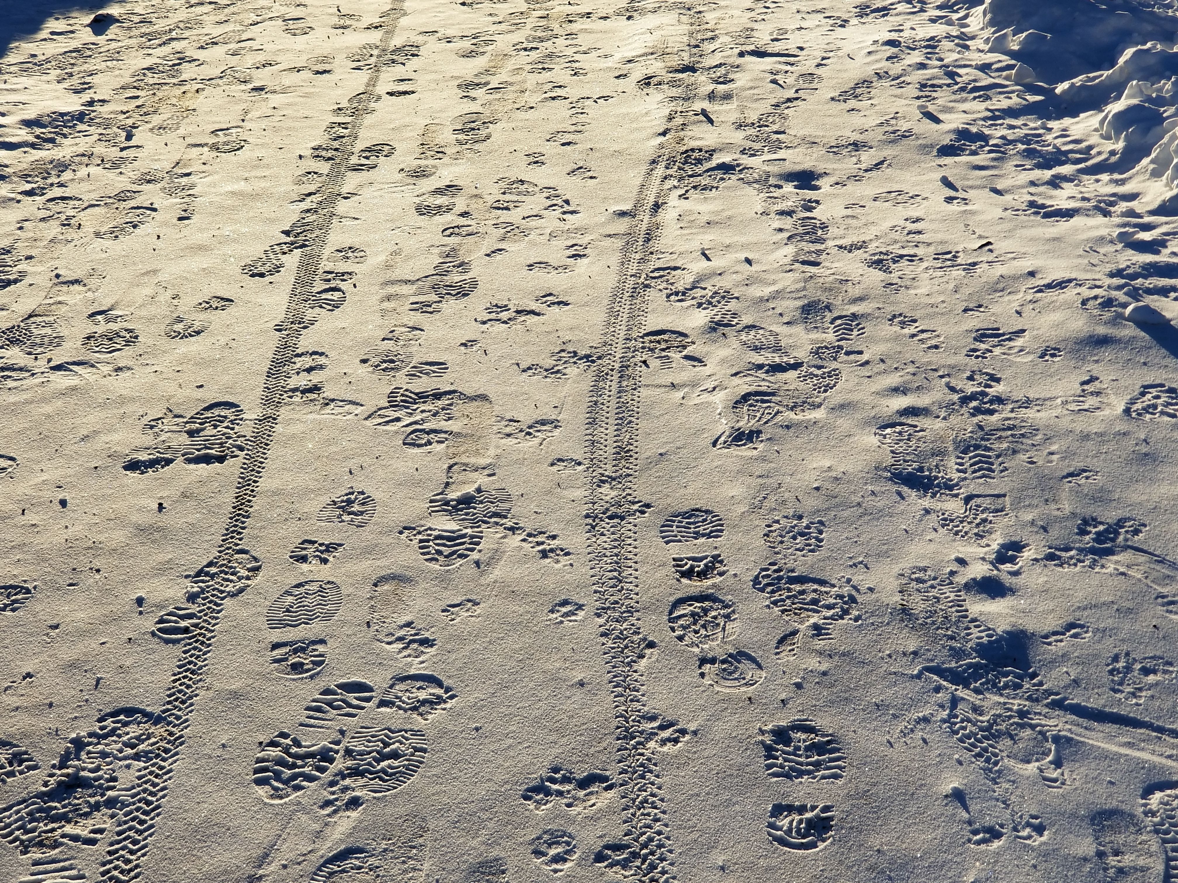 20180220_165927.jpg