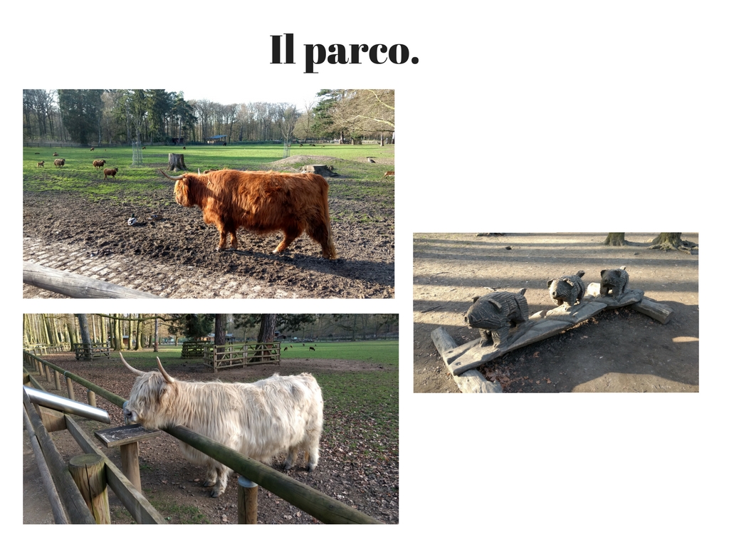 Il parco.1.jpg