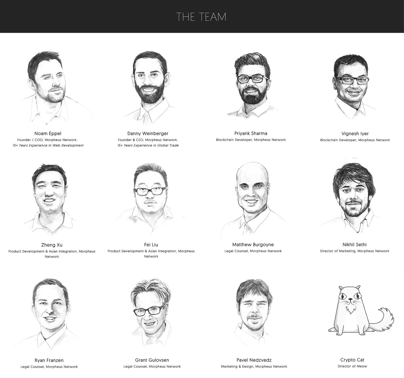 morpheusicoteam.jpg