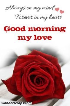 1ccfcbc36659dba8bb6cc0f95f706897--good-morning-my-love-thinking-of-you.jpg