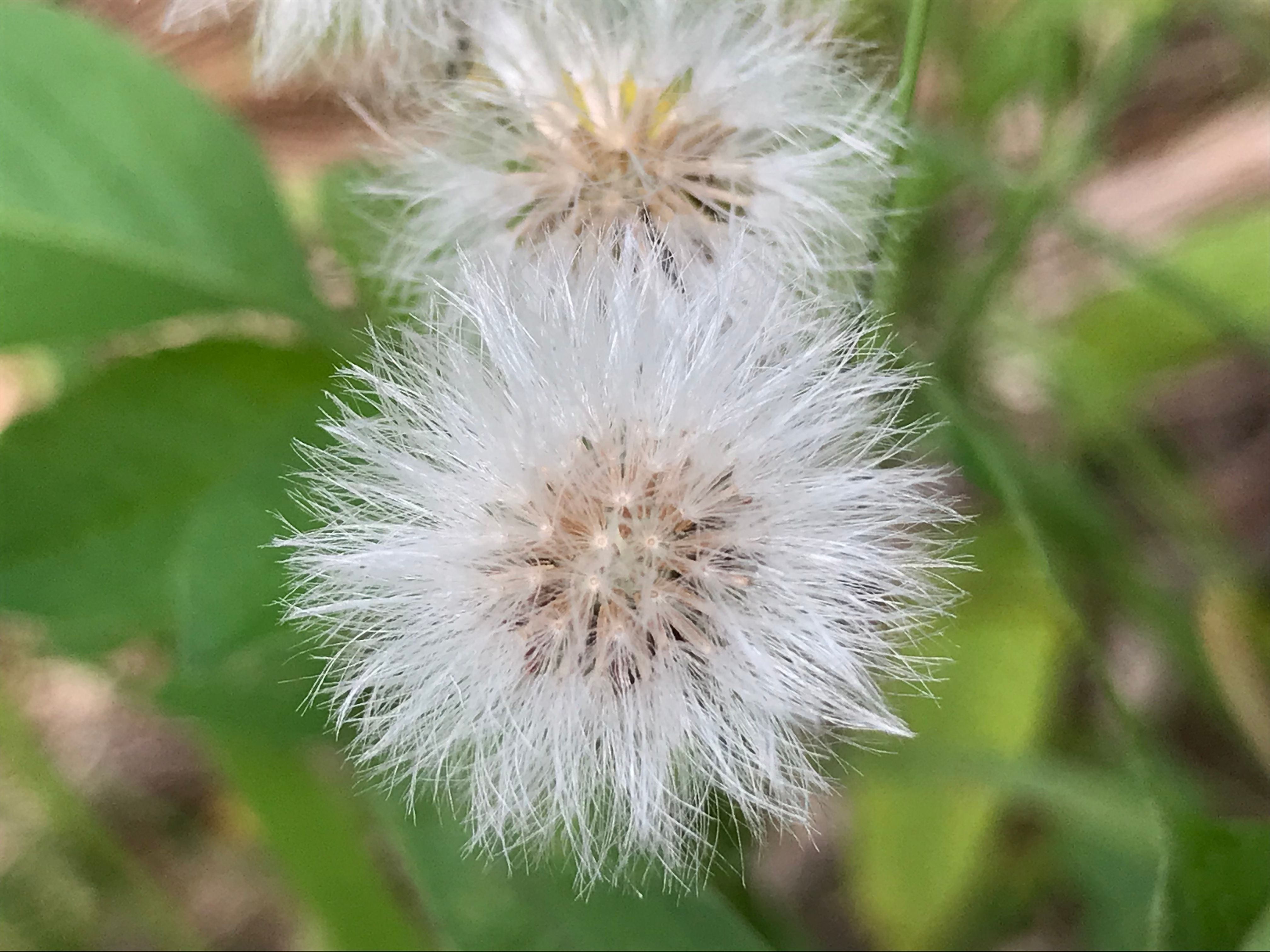E476A4DE-E38B-41D8-B9B5-0753765B0D27.jpeg