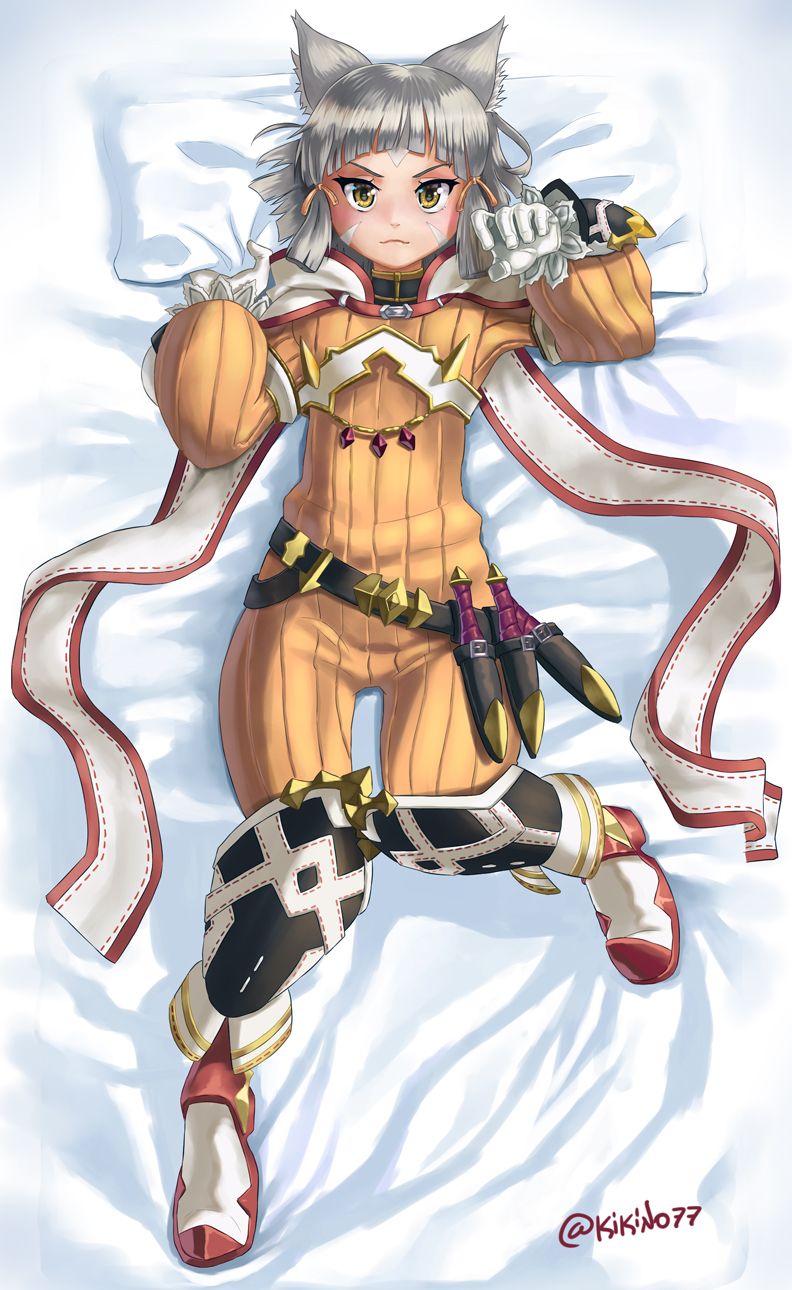 Nia2.jpg