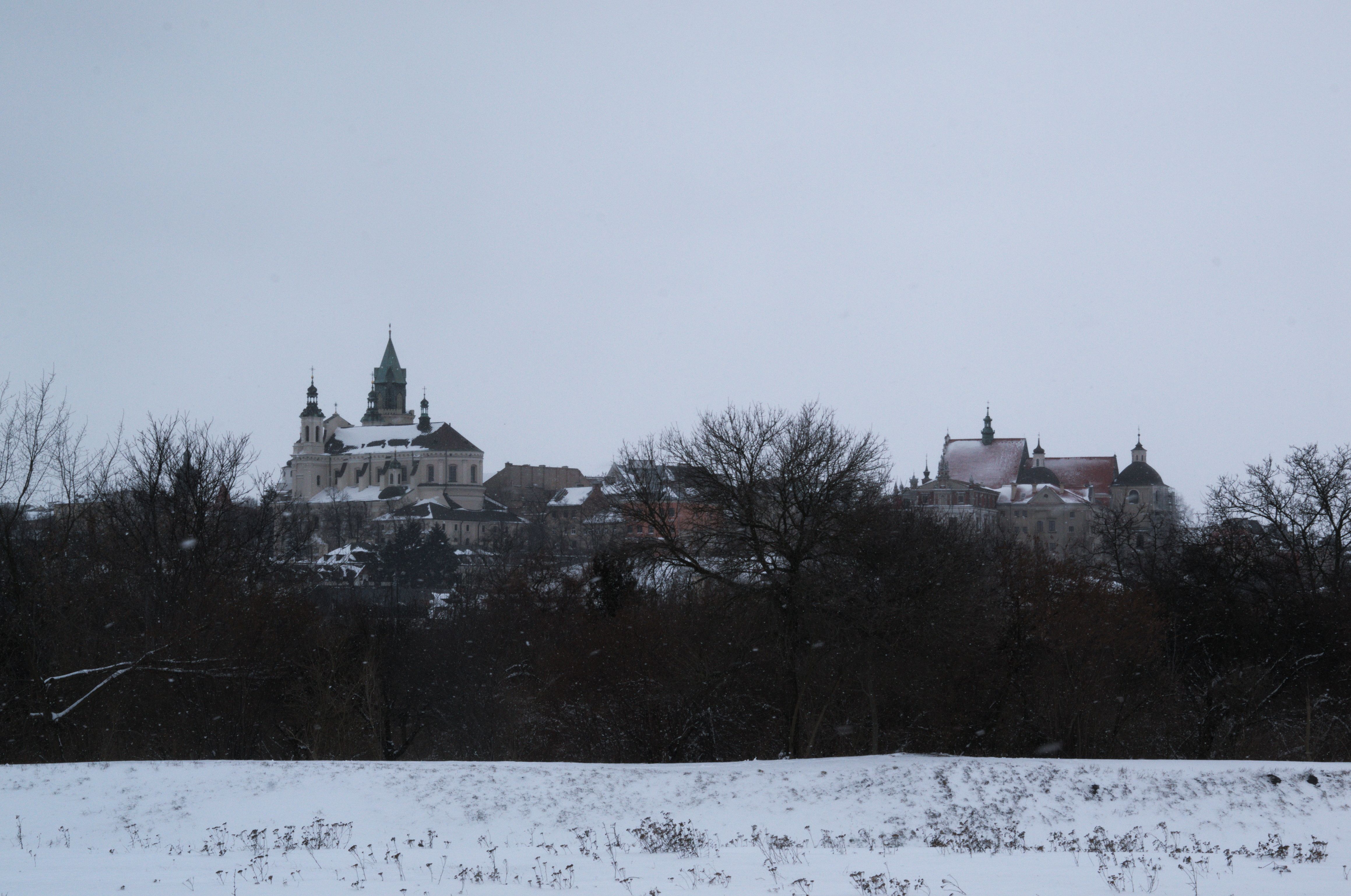 DSC_0493.NEF.jpg