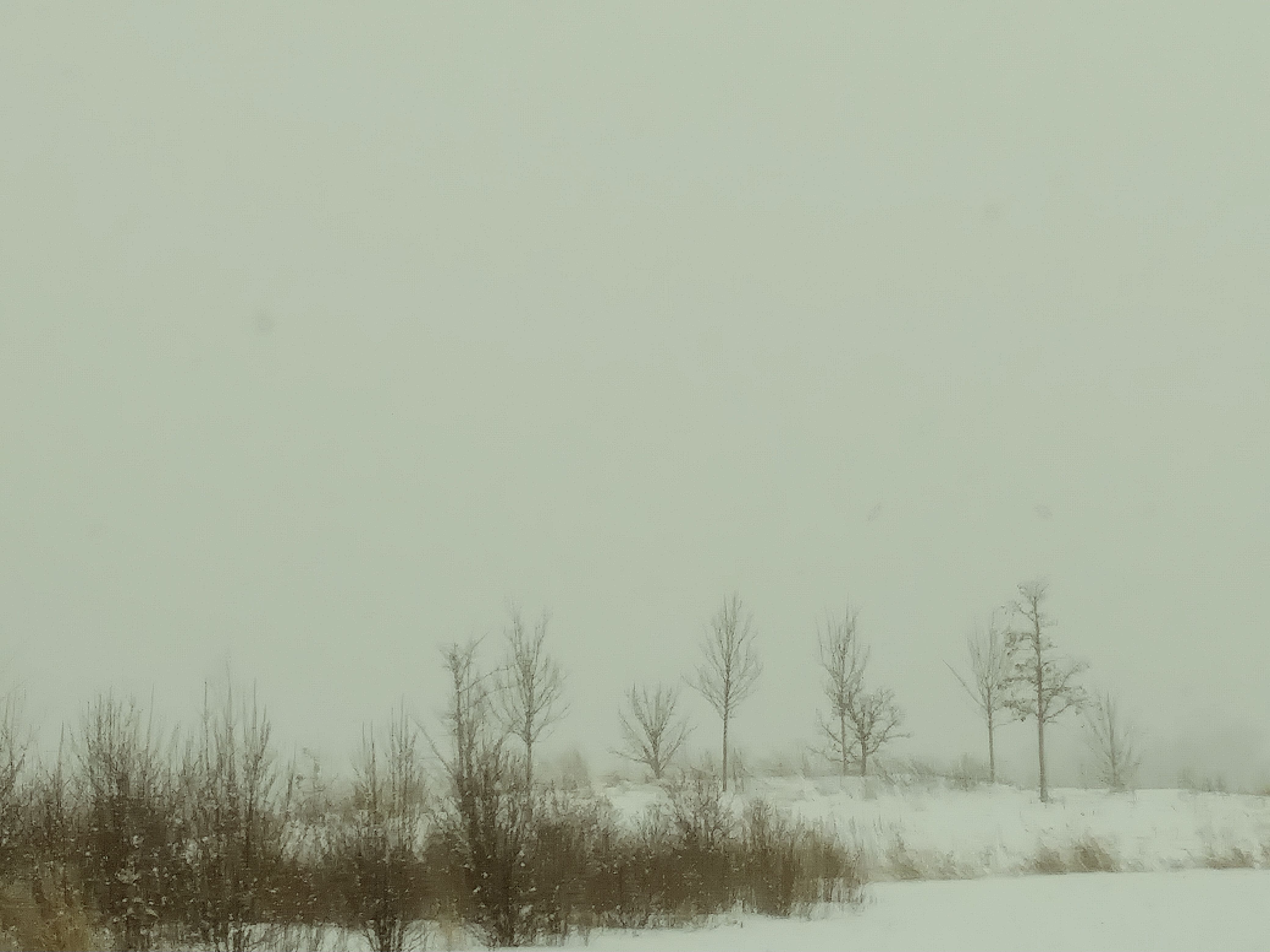 20180403_162906_Film2.jpg