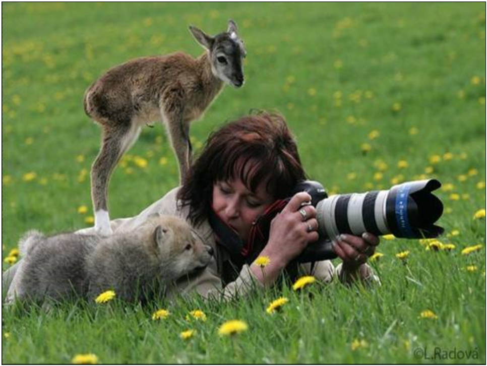 ANIMALS APPROACH PHOTOGRAPHER.png