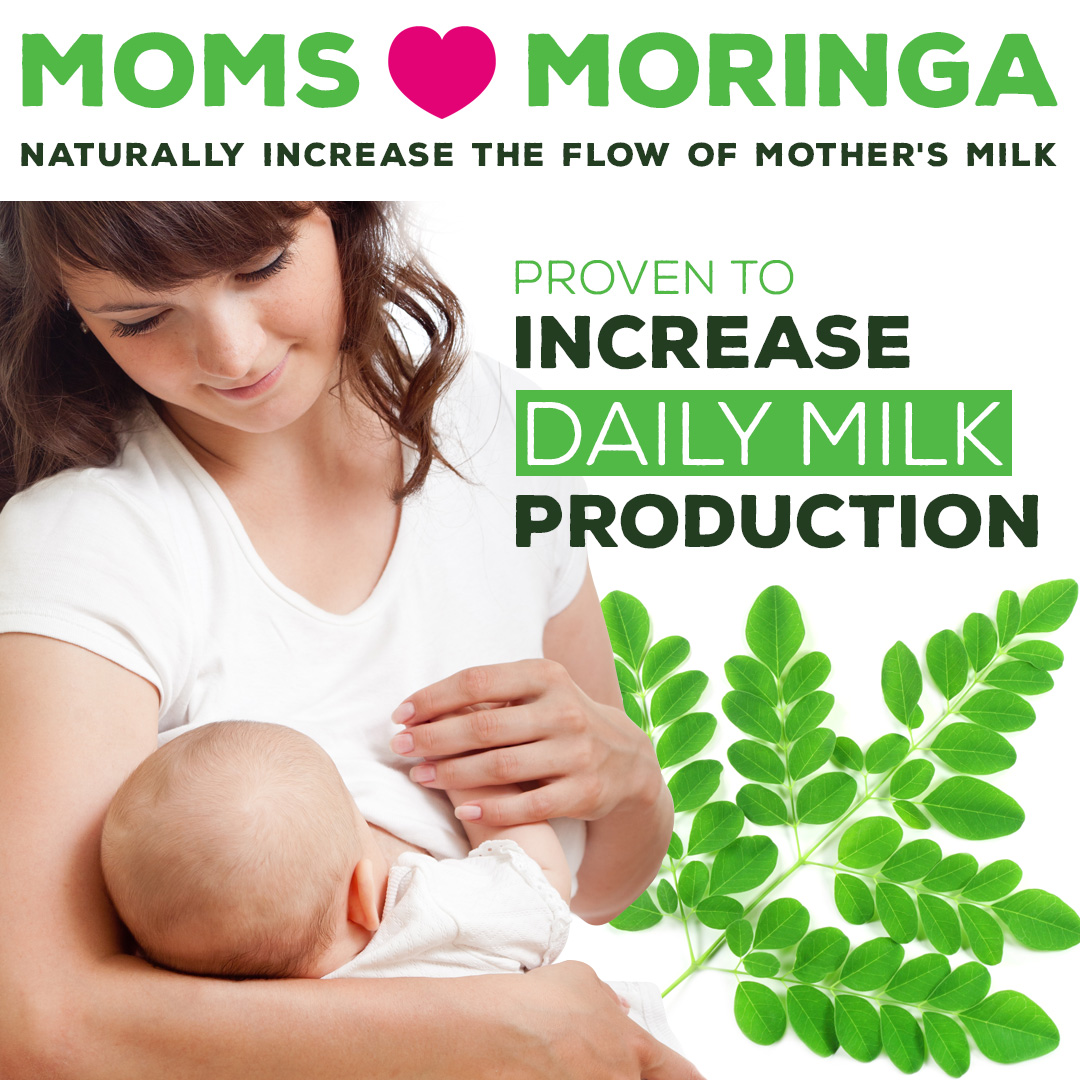 MORINGA (The miracle tree) #PART 2: How to Increase Breast Milk production  with Moringa Leaves — Steemit