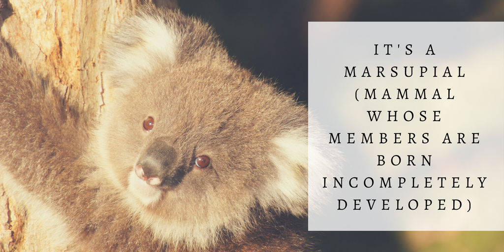 Green and Yellow Photo Quotes Fall Twitter Post (16).png