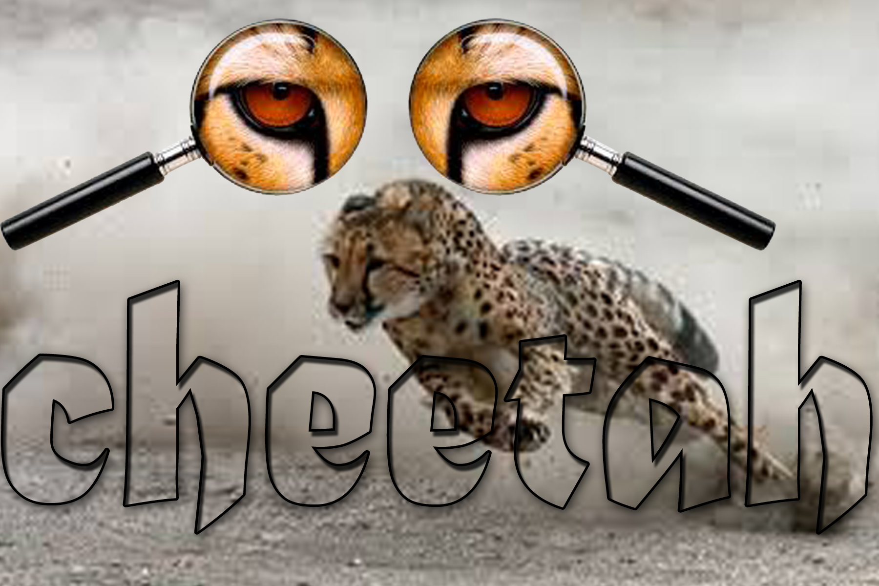 cheetah.png