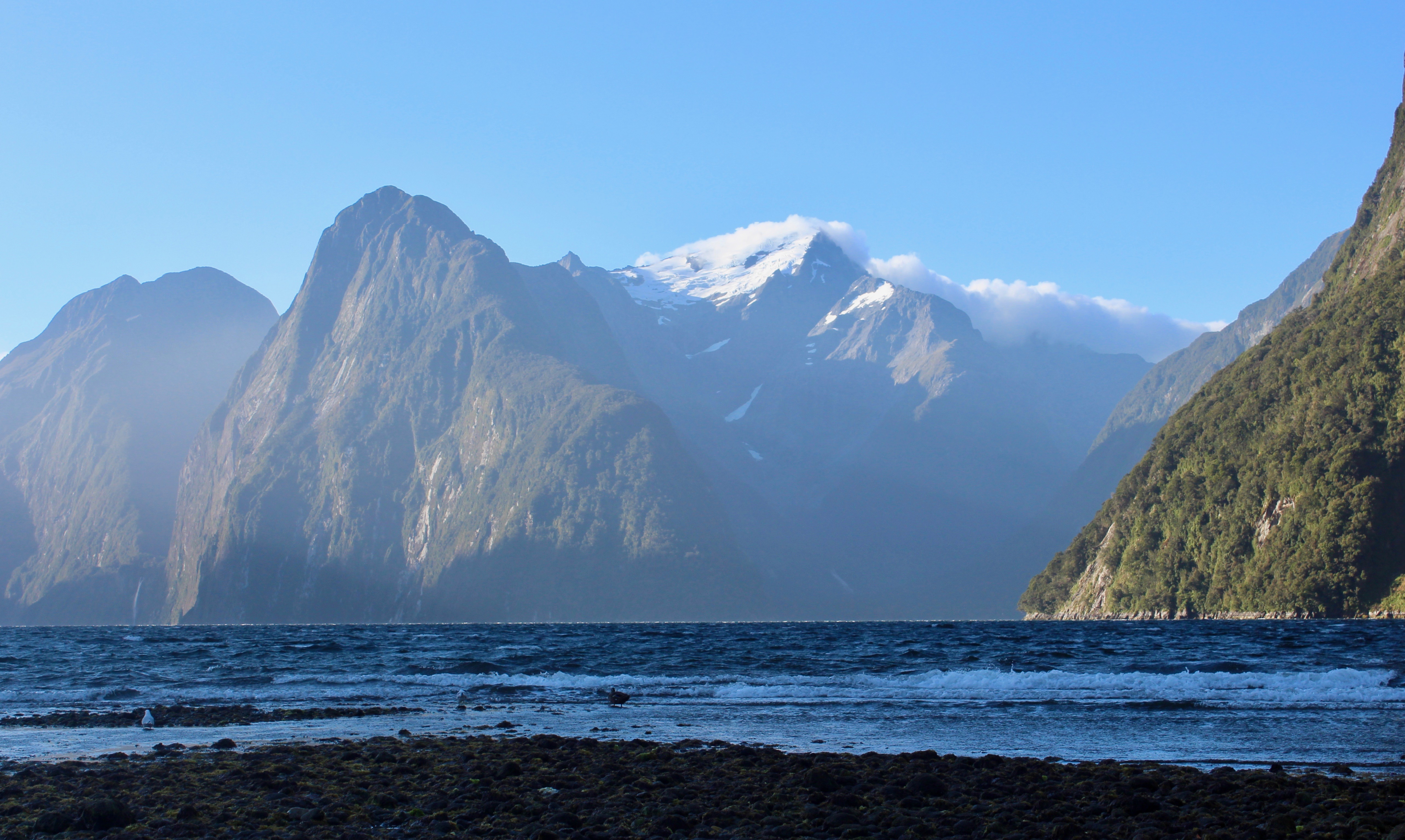 New Zealand Views Milford Sound Photography Steemit