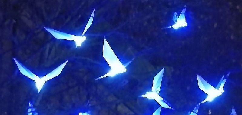 Blue Birds 3.jpg