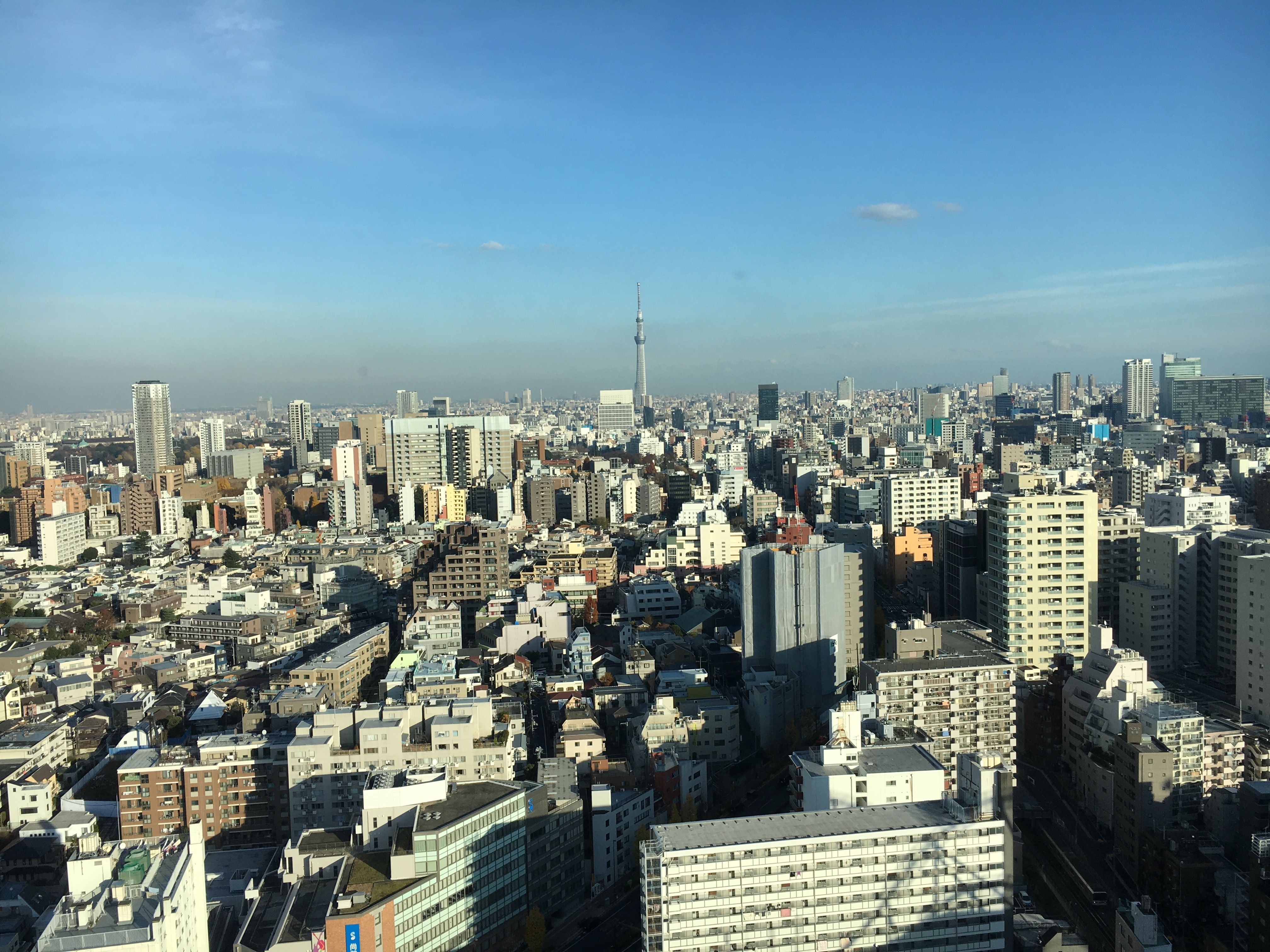view of Tokyo.jpg