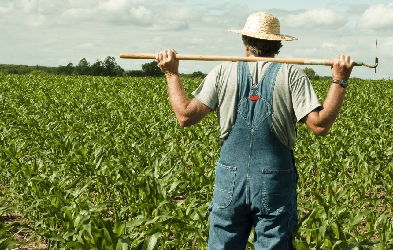 farmer-19050.jpg