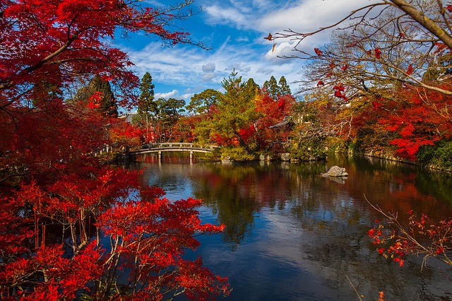 autumn-japan-bridge.jpg