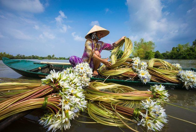 canh_8.jpg