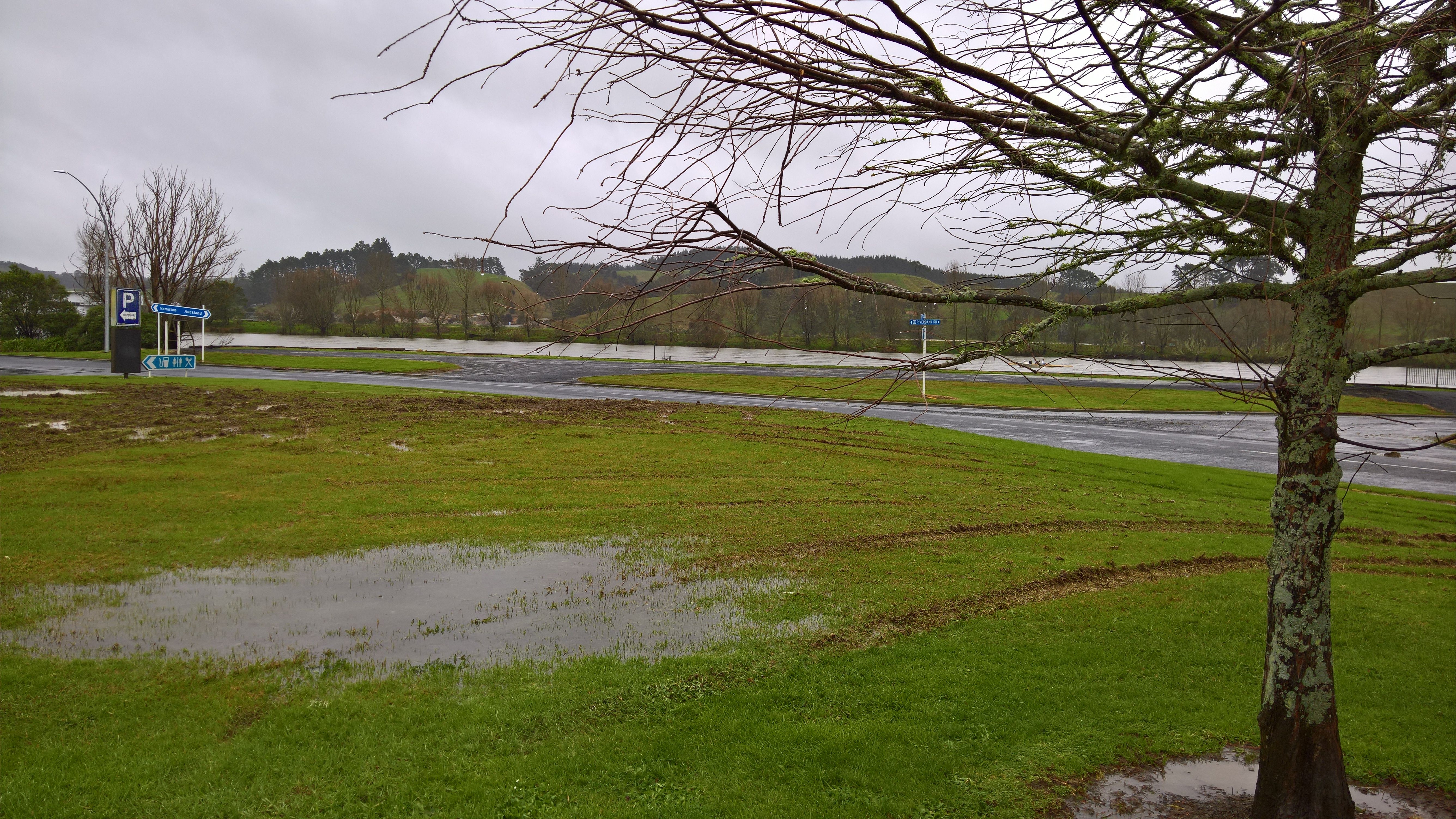 Waikato River.jpg