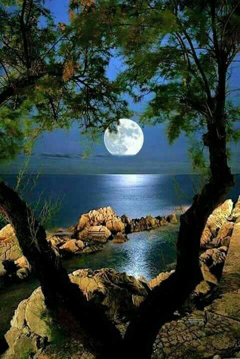 fc2632a100bb615aaeaf6bff9d0b9396--beautiful-moon-beautiful-images.jpg