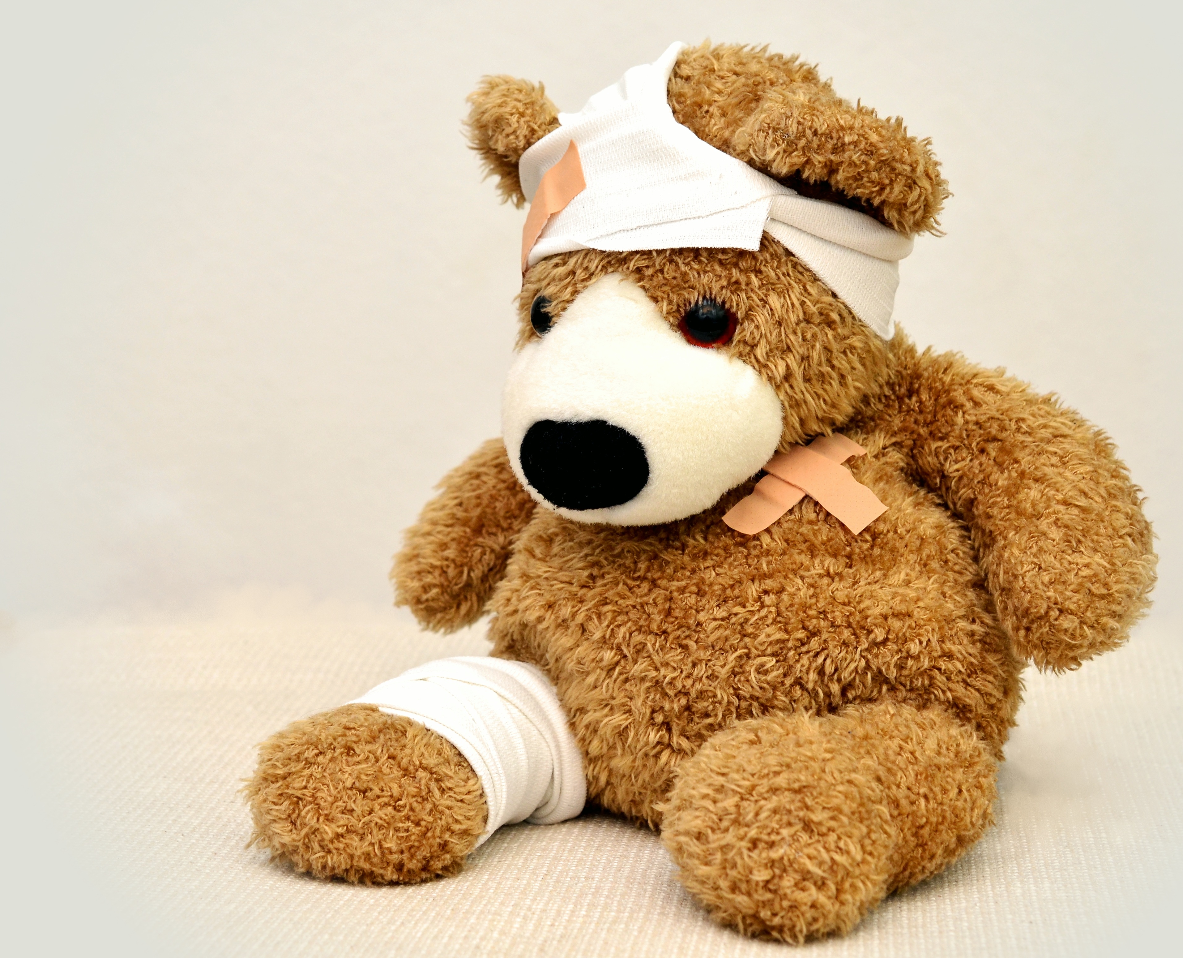 teddy-teddy-bear-association-ill-42230.jpg