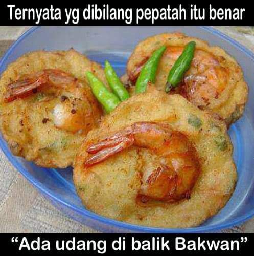 Ada udang dibalik  bakwann.jpg