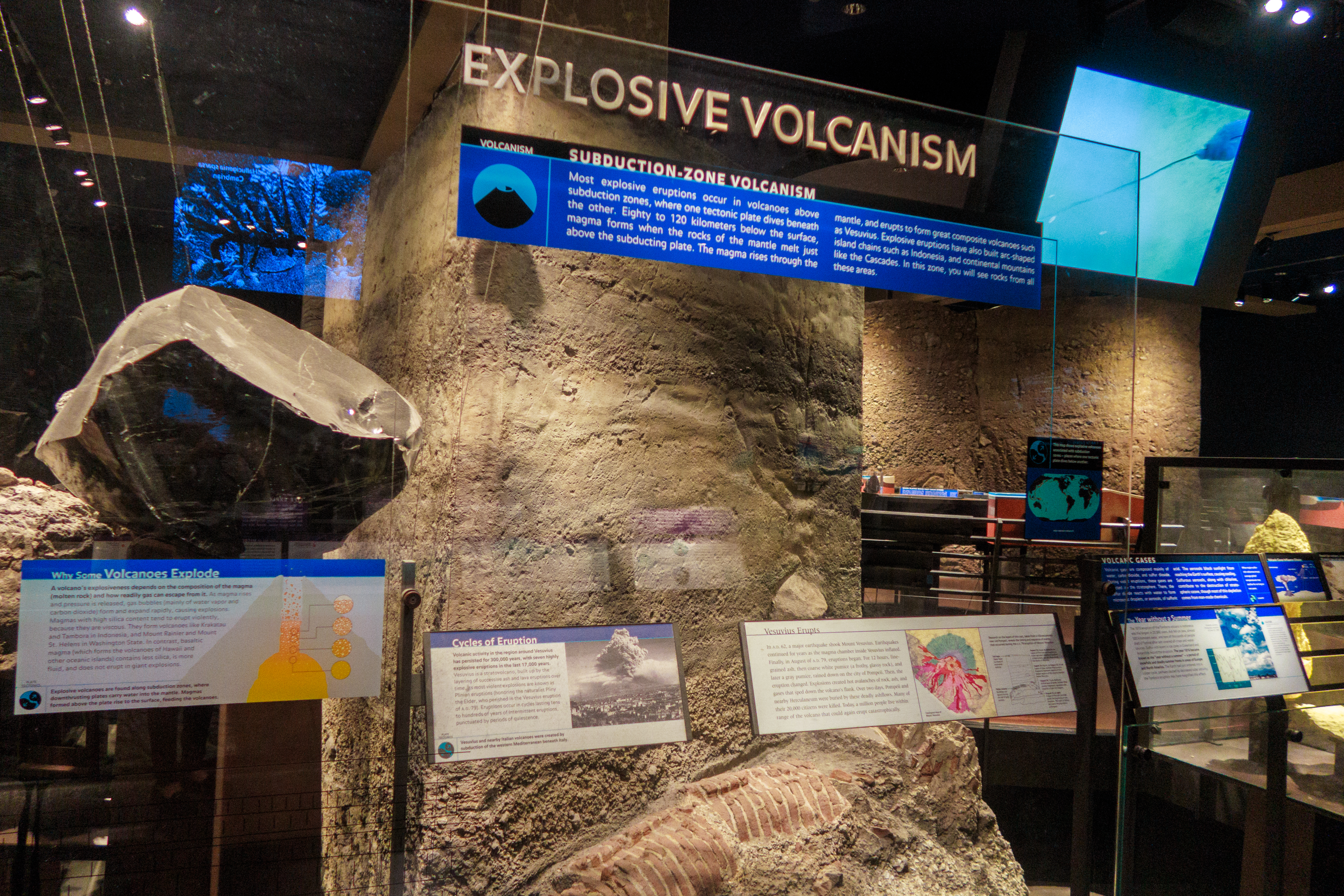 American Museum of Natural History_70.jpg