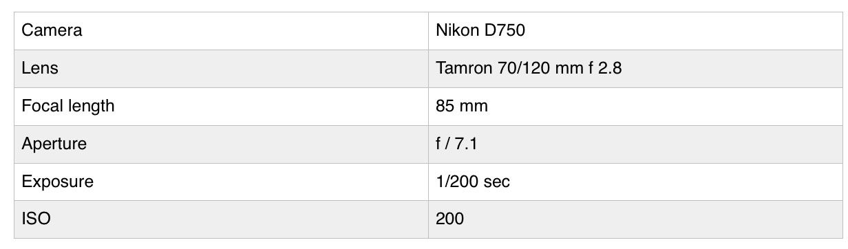 camera data 2.jpg