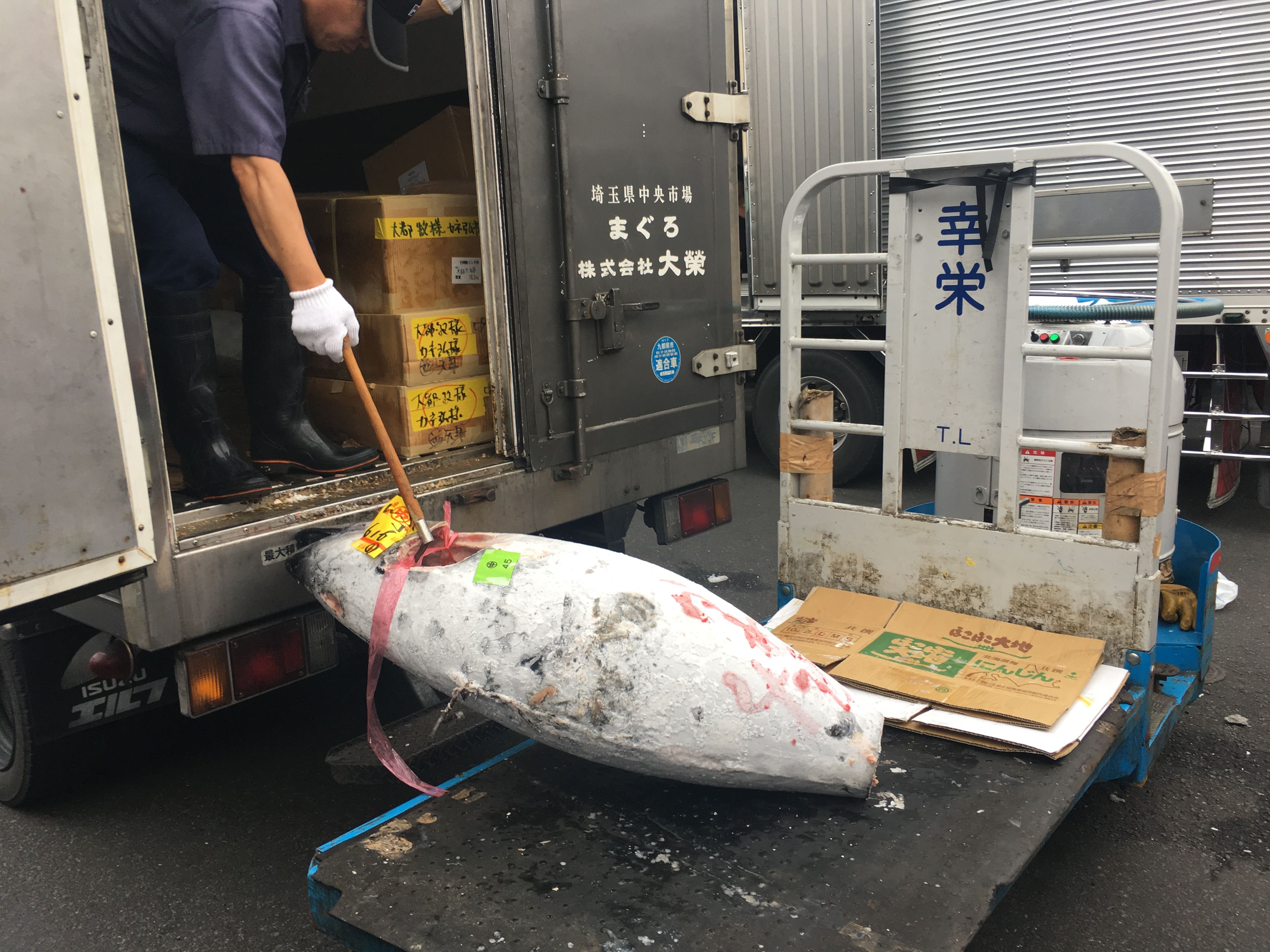 tsukiji-market-foodbaby.JPG