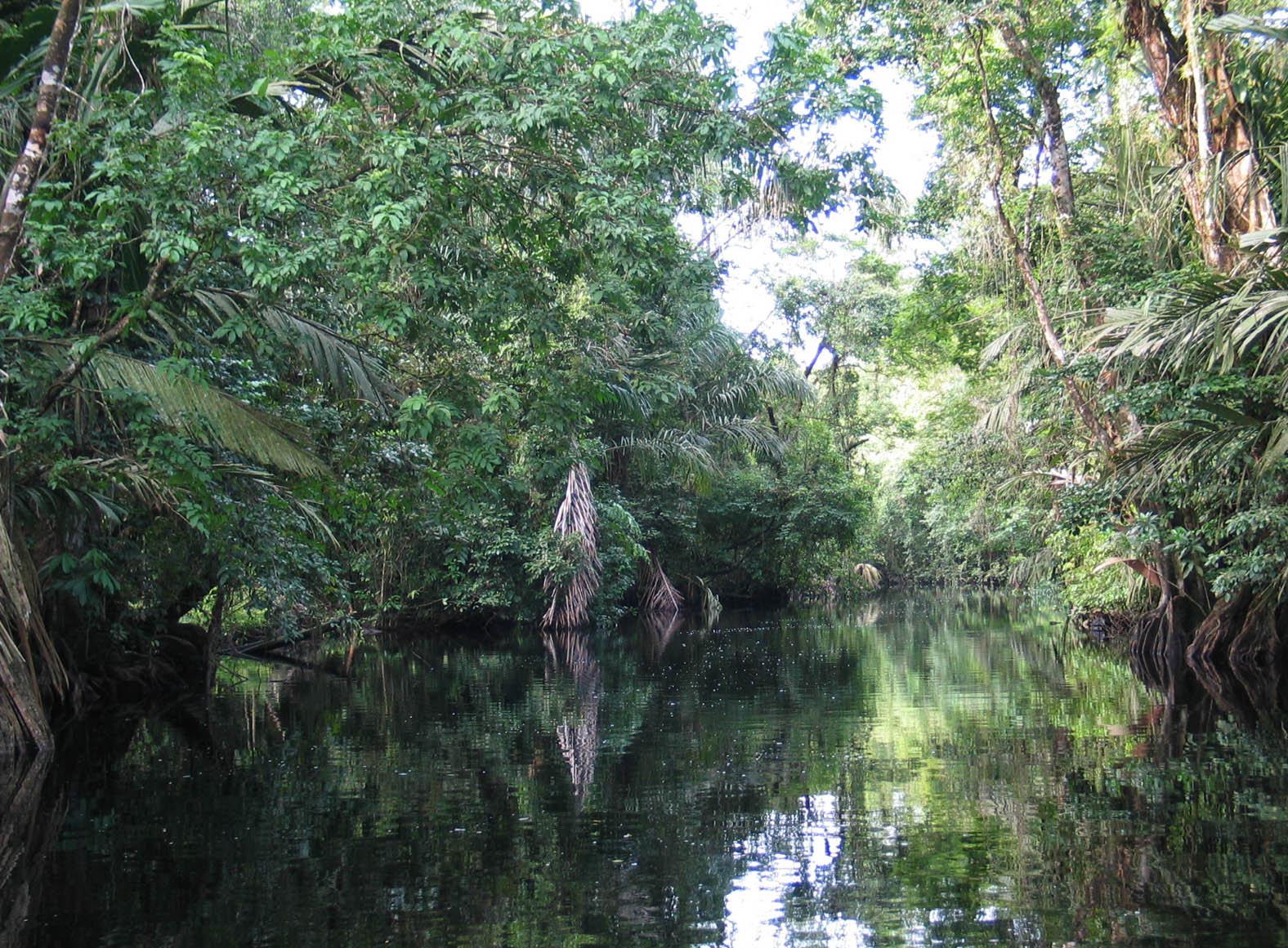 waterway_of_costa_rica.jpg