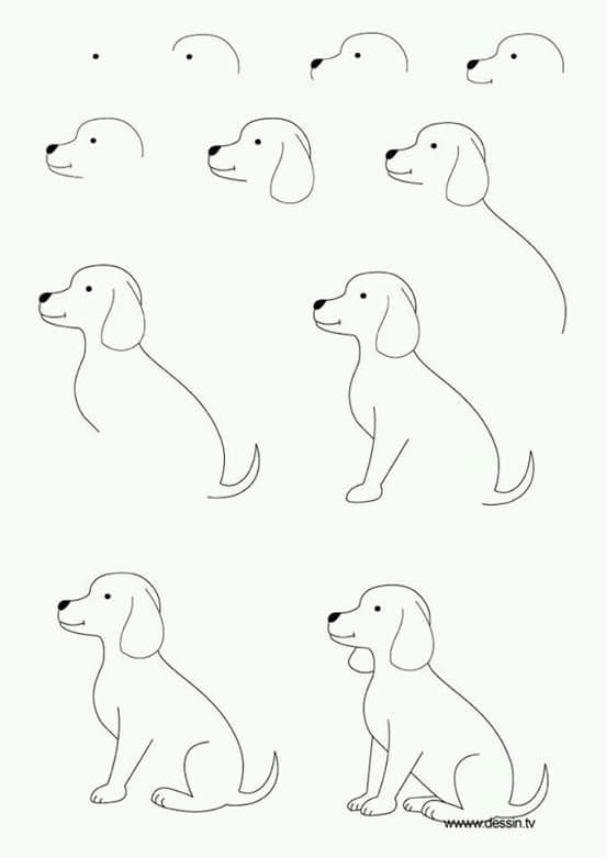 How to draw a dog.jpg