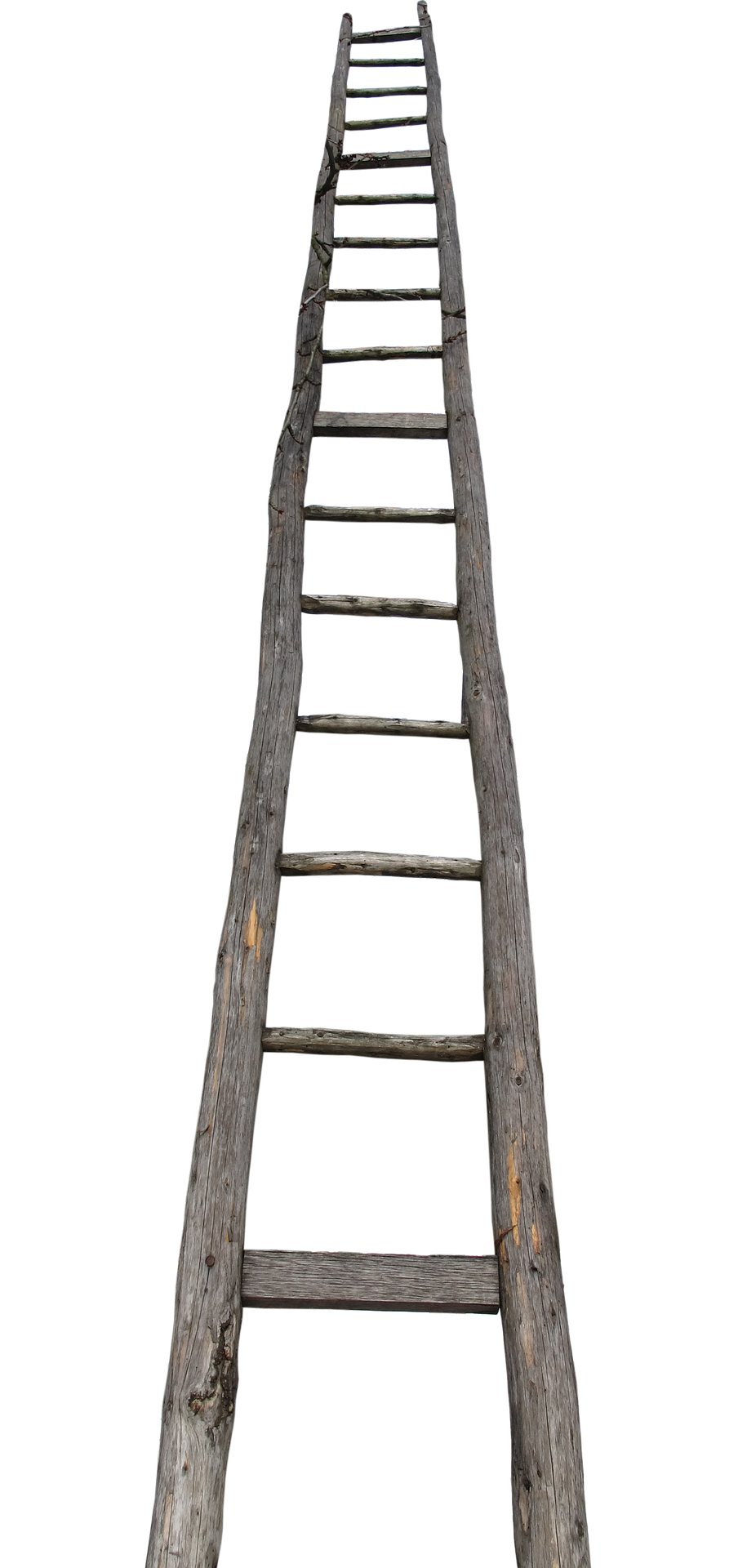 Ladder.png