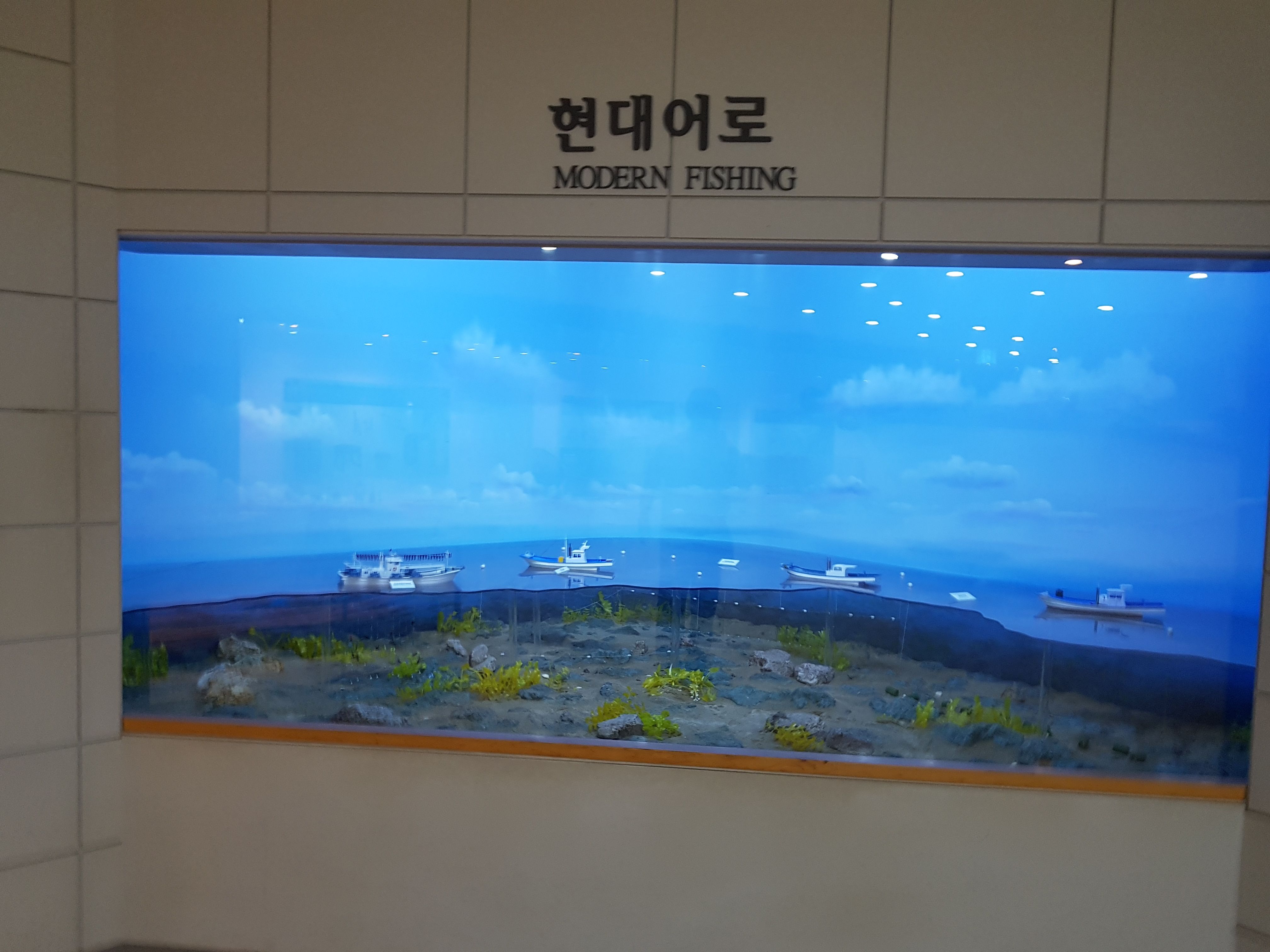 20170903_113948.jpg
