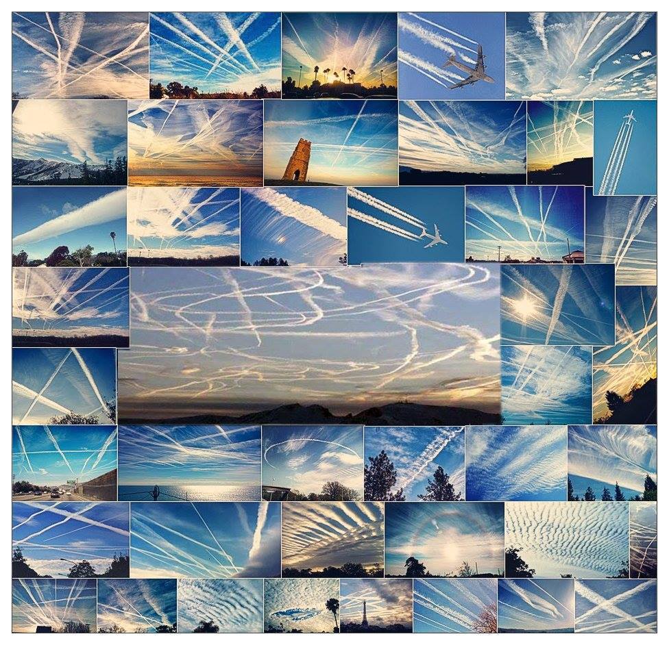 Chemtrails Collage.jpg