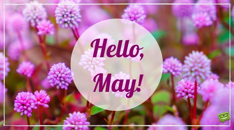 Hello-May-picture-with-beautiful-pink-flowers.jpg