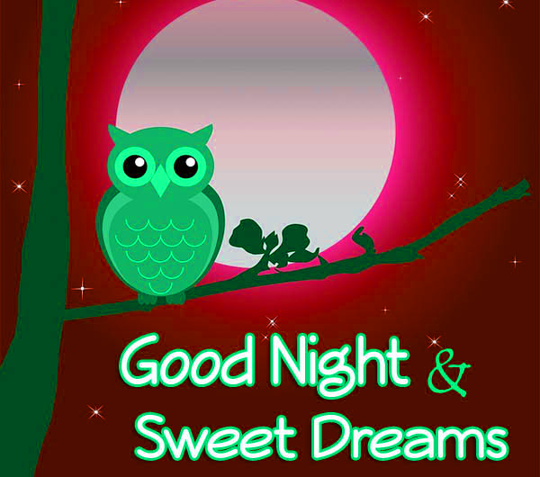 good-night-photo.jpg