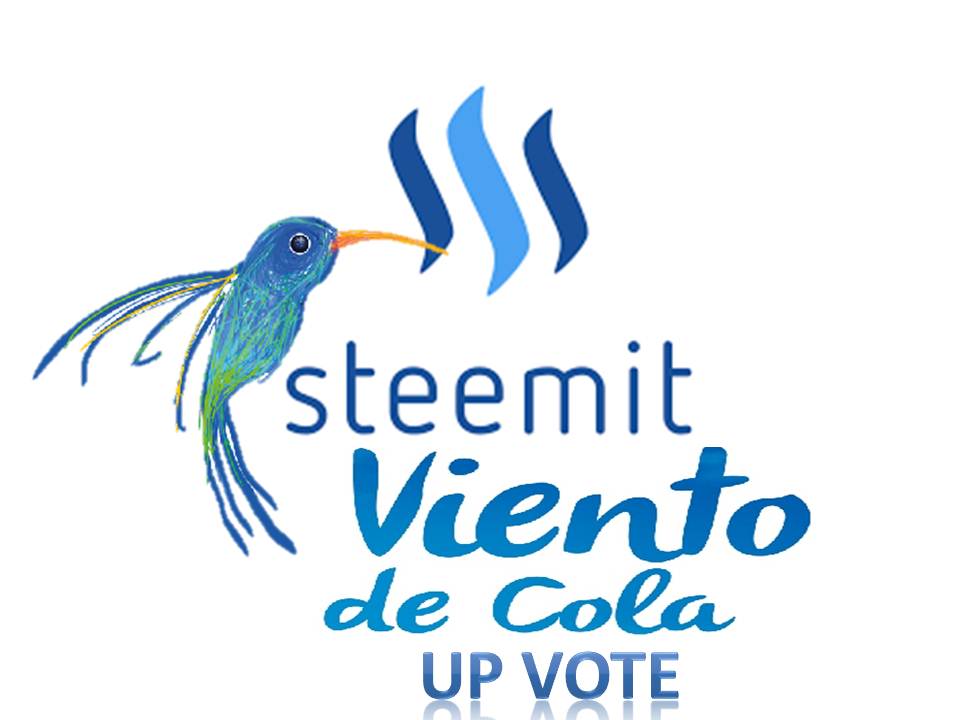 vientos_de_cola_steemit.jpg