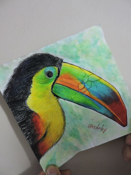 tucan4.jpg